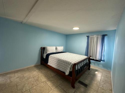 a bedroom with a bed with blue walls and a window at spacious one Bedroom mobil home in Harlingen