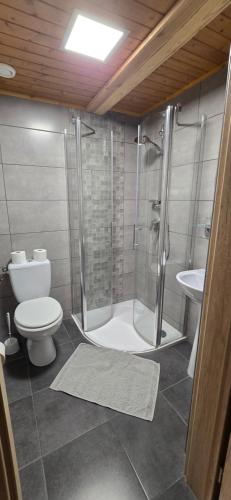 a bathroom with a shower and a toilet and a sink at Anna-Lak in Dunapataj