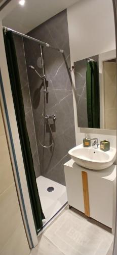 a bathroom with a shower and a sink at Studio clim 4-5 pers animaux, mai oct spa et piscine in Saint-Ambroix