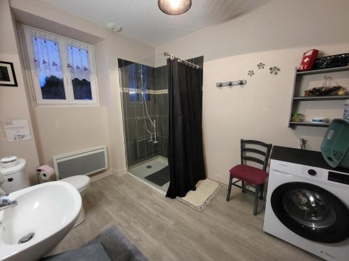 a bathroom with a shower and a sink and a washing machine at Au doux refuge in Saint-Exupéry-les-Roches