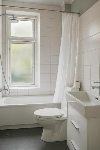 a bathroom with a toilet and a tub and a window at Greenbrook - Blue Lounge in Aalborg