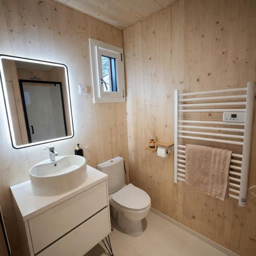 a bathroom with a toilet and a sink and a mirror at Tiny House Eole - Proche Issoudun, Safran, Rwe - Zone artisanale in Saint-Georges-sur-Arnon