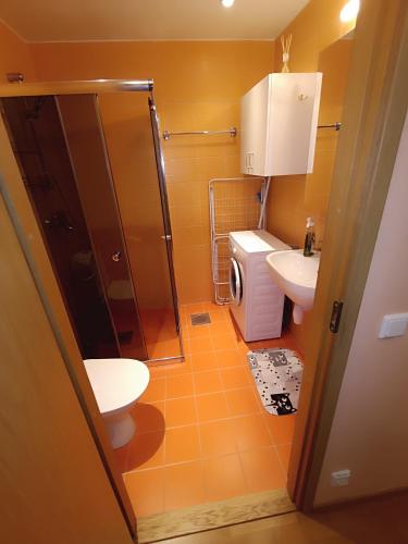 a bathroom with a shower and a toilet and a sink at Jõekalda kodu in Pärnu