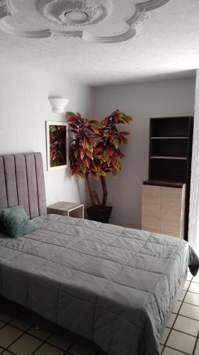 a bedroom with a large bed and a plant at Alojamiento en el centro de tlaquepaque in Guadalajara