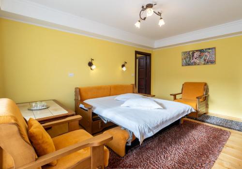 a hospital room with a bed and a table and chairs at Pensiunea Valceaua Zanelor in Stațiunea Climaterică Sâmbăta