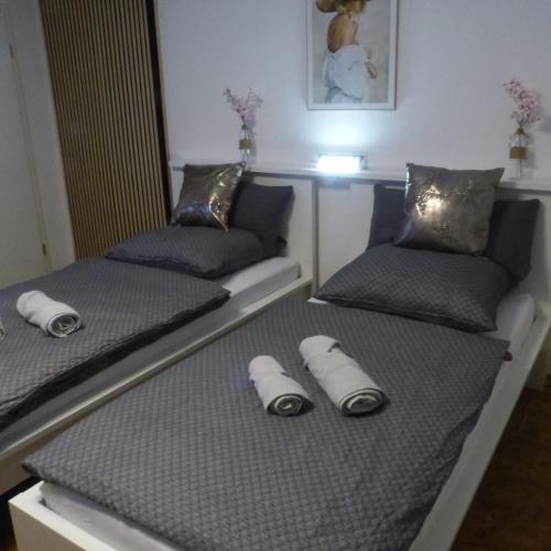 zwei Betten mit Kissen darauf in einem Zimmer in der Unterkunft ChrisTho - Am Rheinsteig in Vallendar