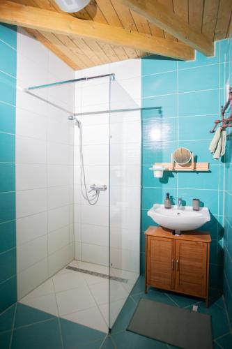 a bathroom with a glass shower and a sink at Colonia Natura Apartmanpark in Sitke