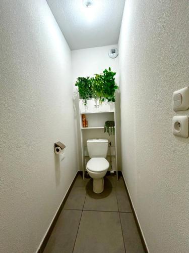 a bathroom with a toilet with a plant on the shelf at Chambre privée chez habitant à Sète in Sète