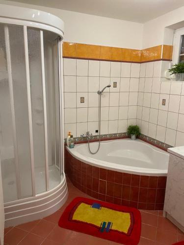 a bathroom with a tub and a shower and a rug at Prázdninový dům u Špičáku in Albrechtice v Jizerských horách