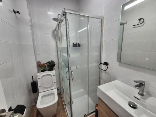 a bathroom with a shower and a toilet and a sink at Escola in Ourense