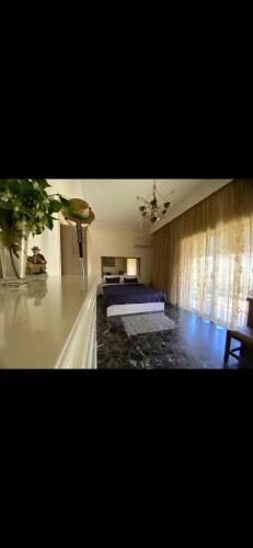 Master private room in shared appartement