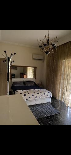 a bedroom with a bed and a chandelier at Master private room in shared appartement in Athens