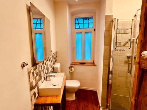a bathroom with a toilet and a sink and a shower at Wohlfühlwohnung Dauborn in Hünfelden