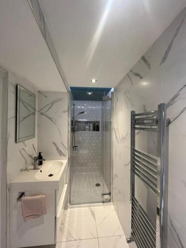a bathroom with a shower and a sink at Quiet countryside retreat in Cork