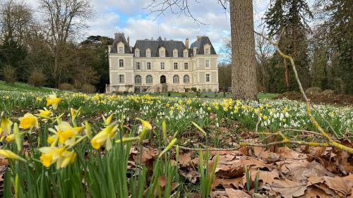 an old castle with flowers in front of it at Château de Saint-Bohaire in Saint-Bohaire
