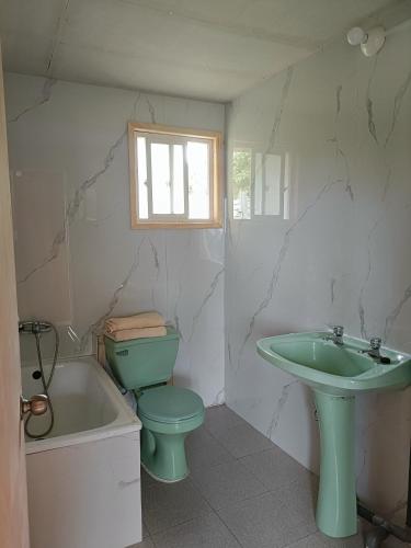 a bathroom with a green toilet and a sink at Cabaña Mañihueico in Hualaihué