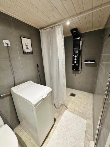 a bathroom with a toilet and a shower at Polku Apartaments in Imatra
