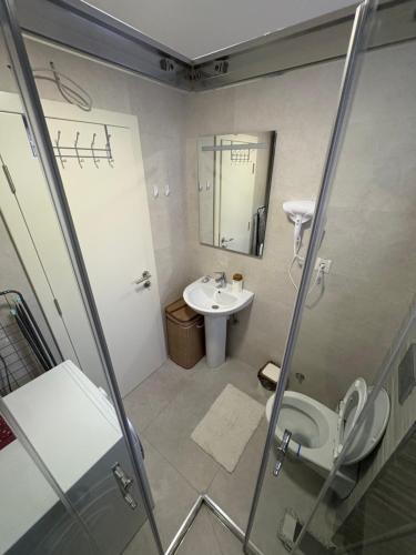 a bathroom with a shower and a toilet and a sink at Maya 2 apartman sa dve spavace sobe in Vrnjačka Banja