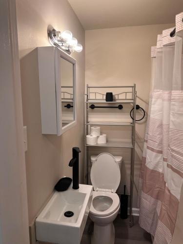 a small bathroom with a toilet and a sink at Skipper Apt 1 in Rockingham