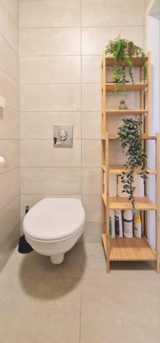 a bathroom with a toilet and a shelf with plants at Leilighet i Sokndal in Sokndal