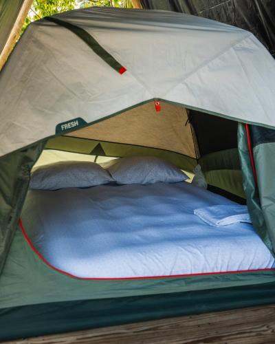 a tent with a bed inside of it at Camping, Glamping y Caravanas Dos Lunas in Celestún