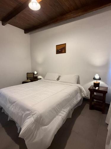 a white bedroom with a large white bed and two tables at Hosteria Alto Alegre in Coronel Moldes