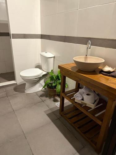 a bathroom with a sink and a toilet at Hosteria Alto Alegre in Coronel Moldes