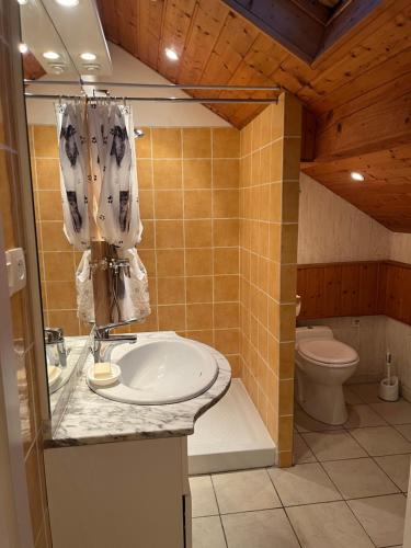 a bathroom with a sink and a toilet at Gîte Micha in Saint-Lothain