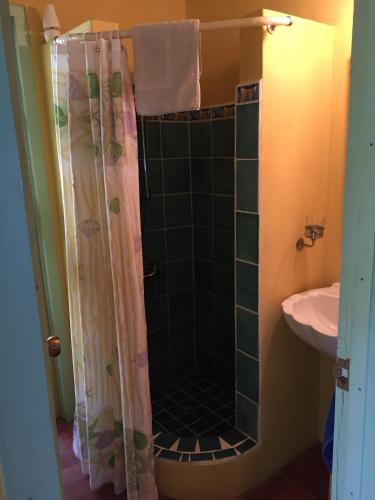 a bathroom with a shower and a sink at Beautiful Cottage overlooking Sea in Goodwood