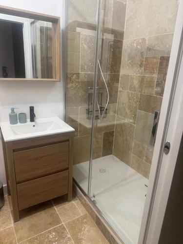 a bathroom with a shower and a sink at L atelier du dormeur in Oberhoffen-sur-Moder