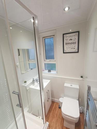 a bathroom with a toilet and a sink and a shower at Funky Cow-Stylish flat near Glasgow Airport in Paisley