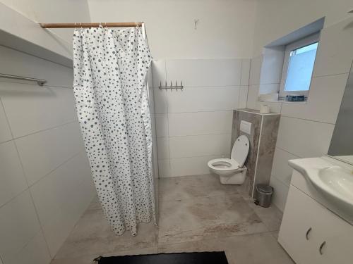 a bathroom with a toilet and a shower curtain at Wohung Leonard in Schwanenstadt