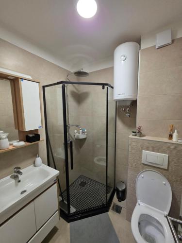 a bathroom with a shower and a toilet and a sink at Bela Reka 204 in Brzeće
