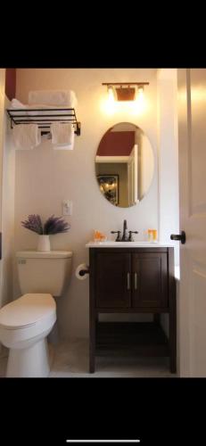a bathroom with a toilet and a sink and a mirror at Sunny&Cozy Apartment in University City Walk to Drexel&Near UPenn in Philadelphia
