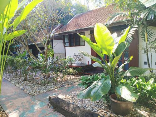 a house with a bunch of plants in front of it at Tonnam Homestay in Chiang Mai