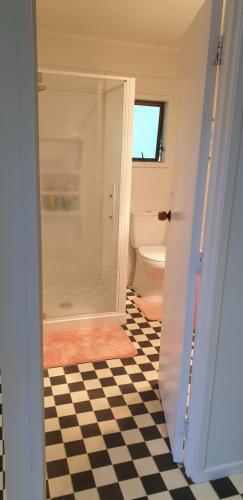 a bathroom with a glass shower and a toilet at Lazy Daze at Athenree in Waihi Beach