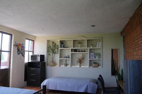 a bedroom with a bed and a shelf with plants at Hermosa habitación de campo in San Gregorio Atzompa