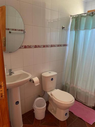 a bathroom with a toilet and a sink and a mirror at Cabañas Valles del Mañihuales in Villa Maniguales