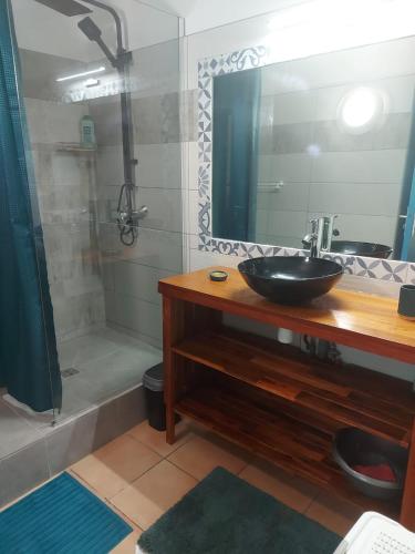 a bathroom with a sink and a shower with a mirror at Studios Soleil du Sud in Sainte-Anne