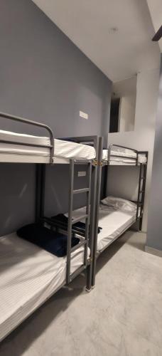 a room with two bunk beds in a room at The Loft OMR in Chennai