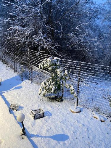a fence with a tree in the snow at Dryades in Elati