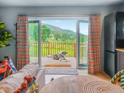a dog sitting in a living room with a sliding glass door at The Twitcher - Uk50612 in Sabden