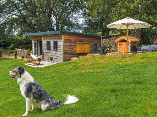 a dog sitting in the grass in front of a cabin at The Twitcher - Uk50612 in Sabden