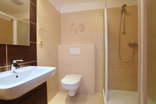 ロジュノフ・ポト・ラドホシュチェムにあるWellness Resort Energeticのバスルーム(トイレ、洗面台、シャワー付)