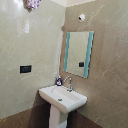 a bathroom with a white sink and a mirror at Golden Valley Abode in Siddapur