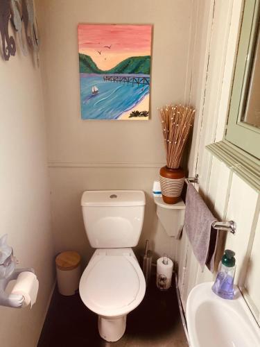 a bathroom with a white toilet and a sink at Wech Cottage in Warkworth