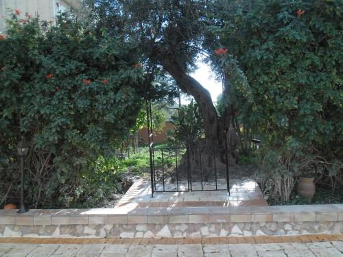 Κήπος έξω από το Appartamenti Siculiana