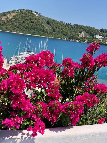 a bunch of pink flowers in front of a body of water at Oikies Skiathos in Skiathos
