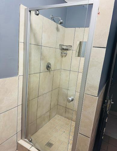 a shower with a glass door in a bathroom at AAA Luxury Cottages in Cape Town