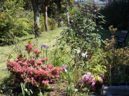 a garden with colorful flowers and a bench at Hotel Patagonia Insular in Quellón
